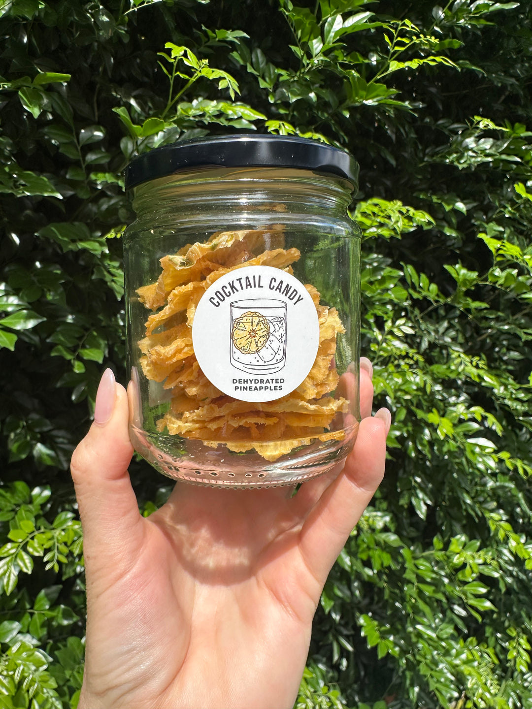 Dehydrated Pineapples - 40g