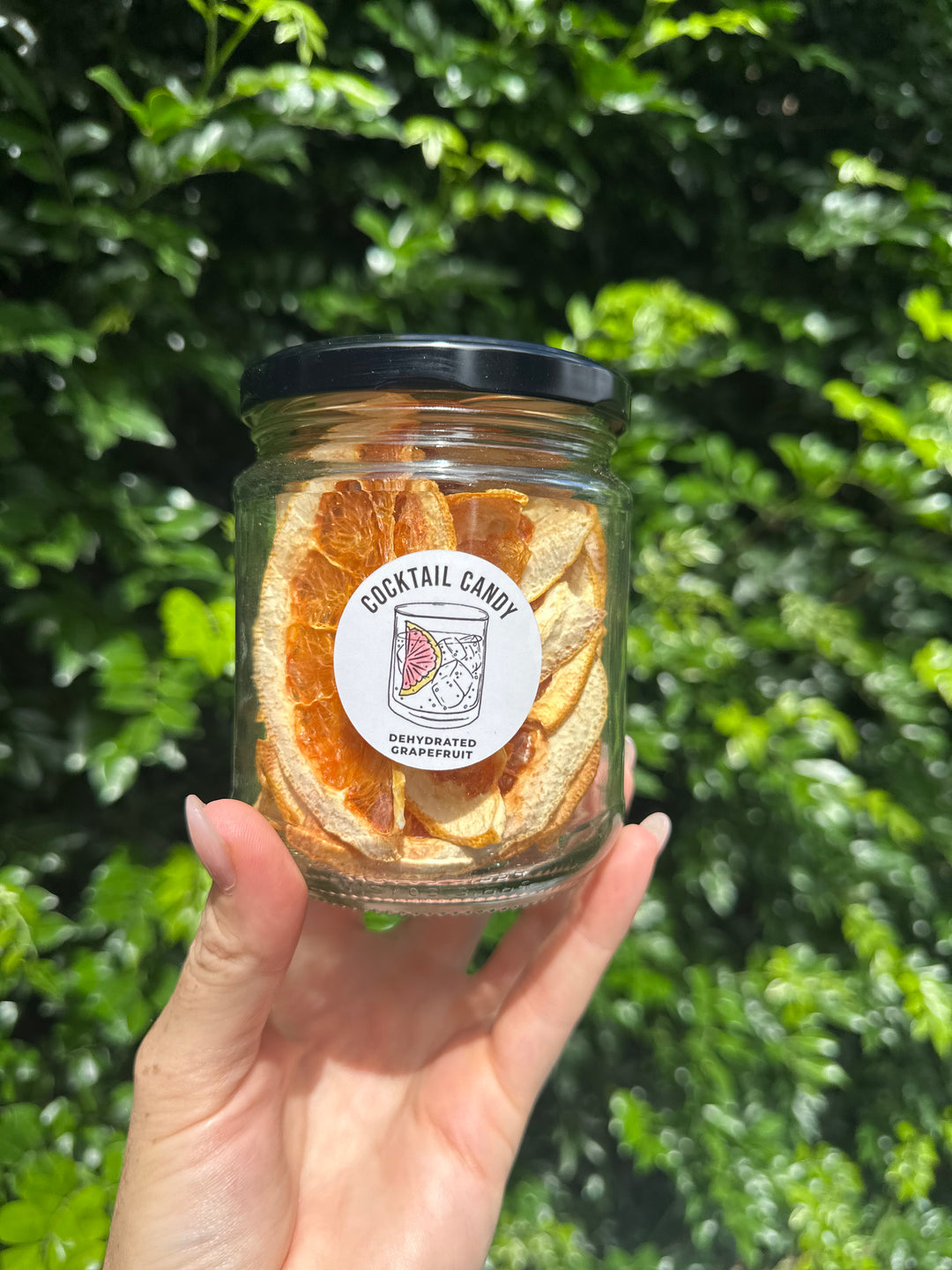 Dehydrated Grapefruit Halves - 30g